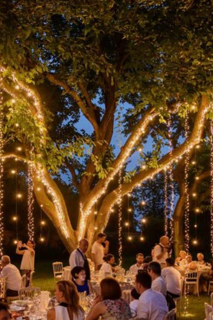 Fairy Lights Hire – Festoon Lighting Perth